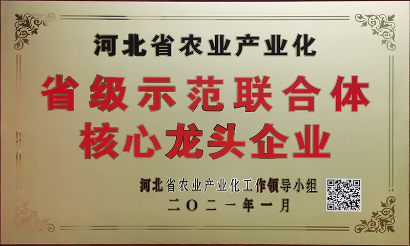 新增-河北(běi)省農業産業化省級示範聯合體(tǐ)核心龍頭企業.jpg